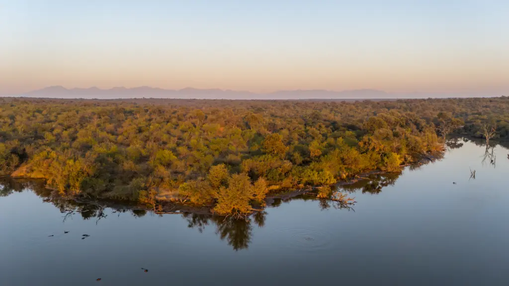Makalali Game Reserve