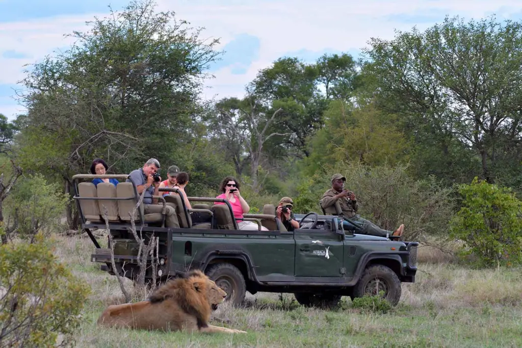 africa on foot safari